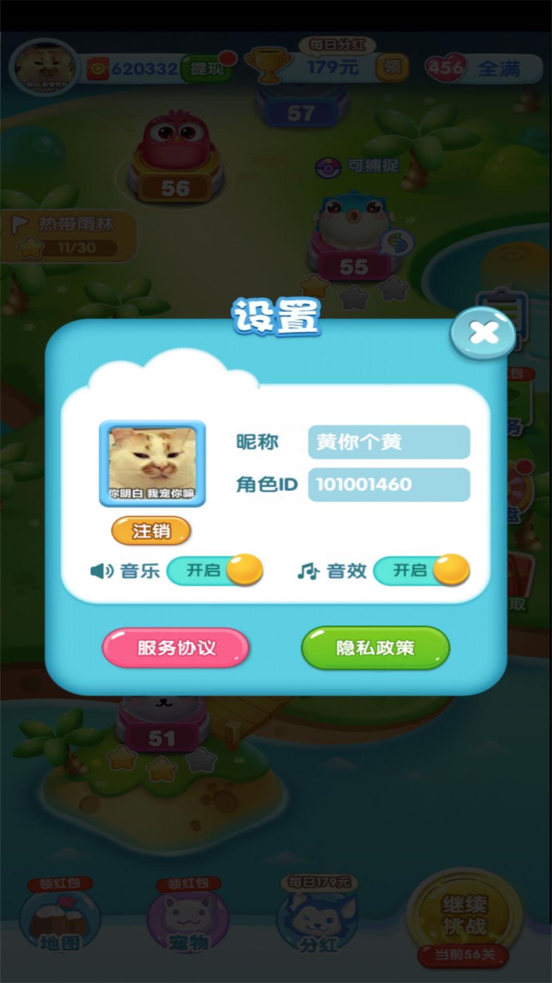 一起来捉宠 一起来捉宠