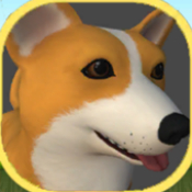 柴犬咖啡冒险Shiba Coffee Adventures