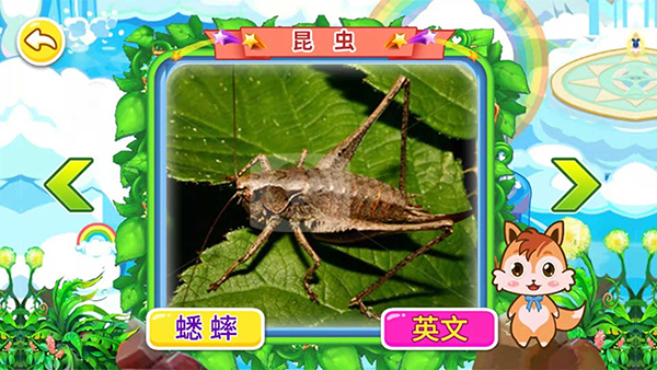 宝宝儿童动物世界 宝宝儿童动物世界