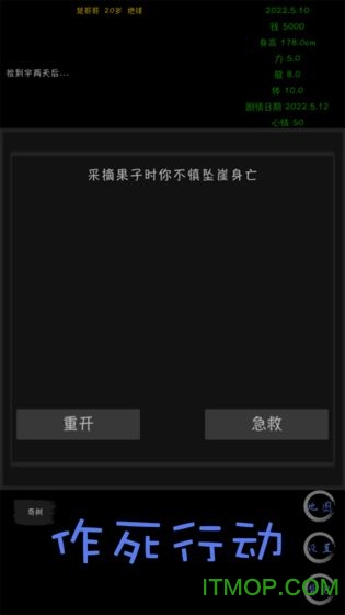 天外来珠