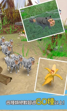 罕见生物的水族箱