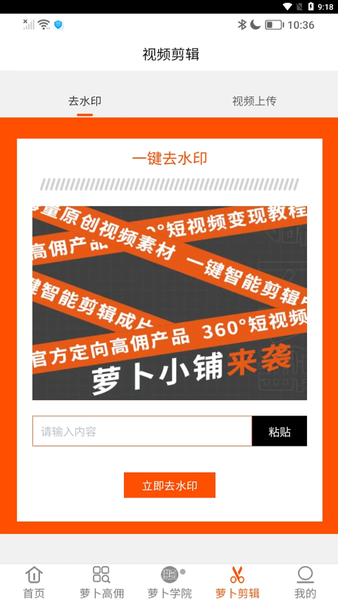 萝卜小铺
