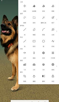 无限绘画中文破解版