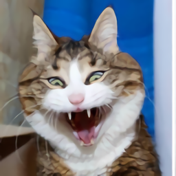 寻找隐藏猫咪