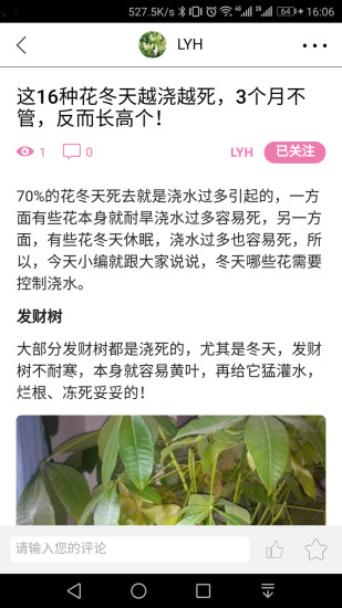 爱园艺