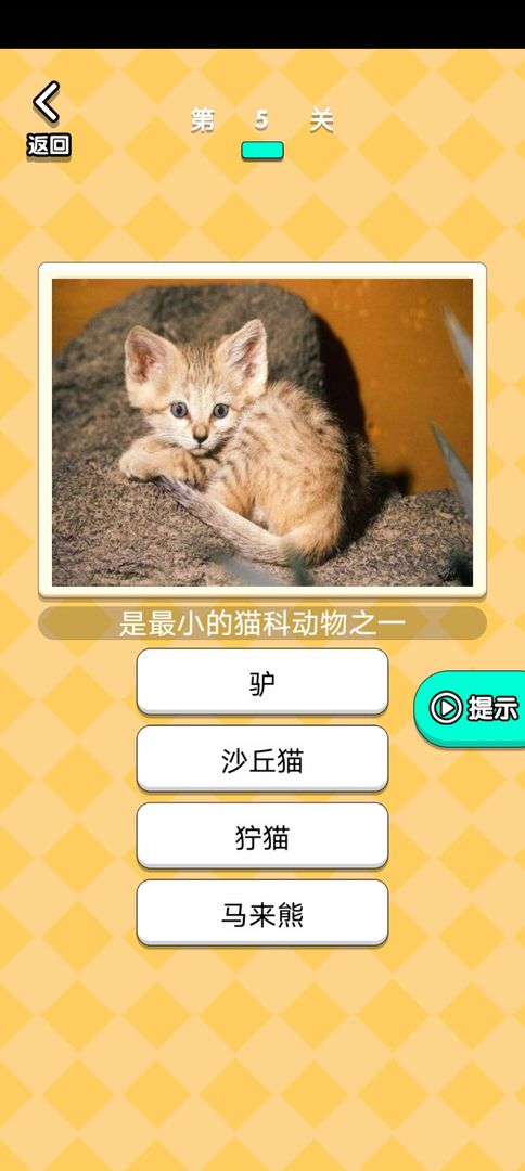 开心动物农场 开心动物农场