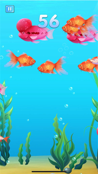 小鱼吃成大鱼