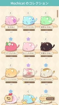 被治愈的每一天MochiCat