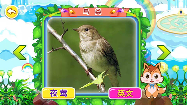 宝宝儿童动物世界 宝宝儿童动物世界