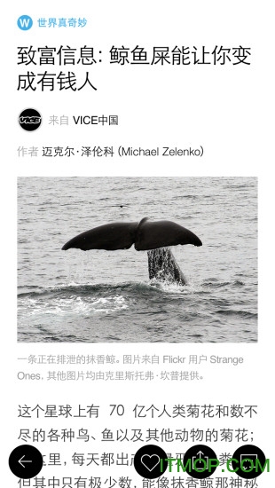 mono猫弄app