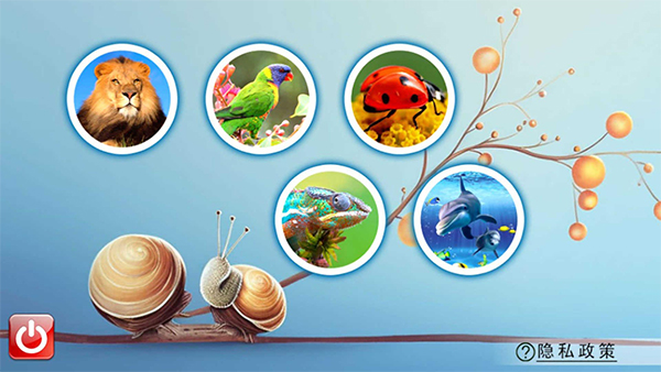 宝宝儿童动物世界 宝宝儿童动物世界