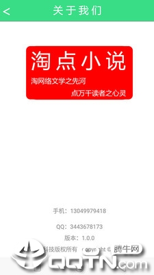 淘点小说