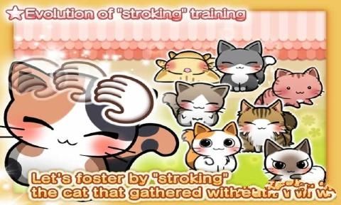 CatDays(猫猫生活游戏下载)