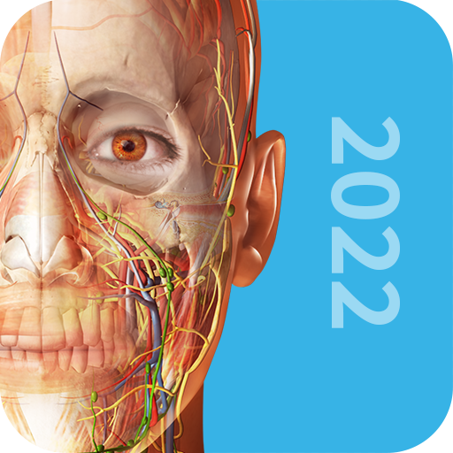 3d人体解剖