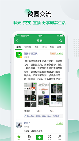 中信网-信鸽信息网