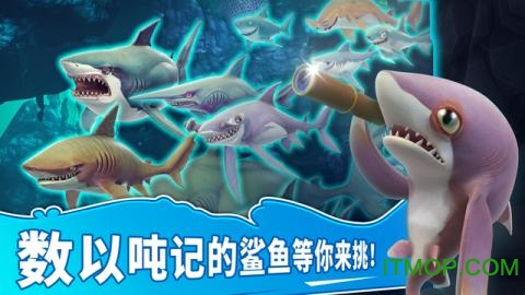饥饿鲨世界最新版