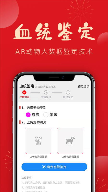 宠物帮 宠物帮