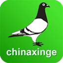 中信网-信鸽信息网