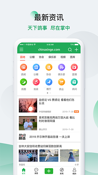 中信网-信鸽信息网