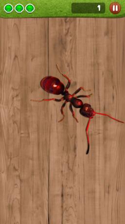 Ant Smasher(蚂蚁捣蛋游戏)