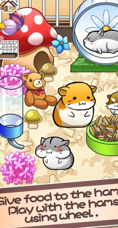Hamster Life(仓鼠的生活游戏)