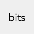 占位(bits)