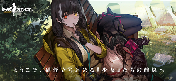 ドルフロ安装器