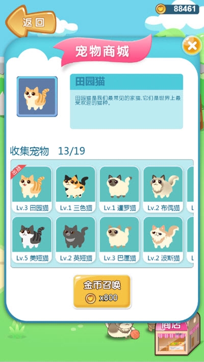 开心猫猫乐