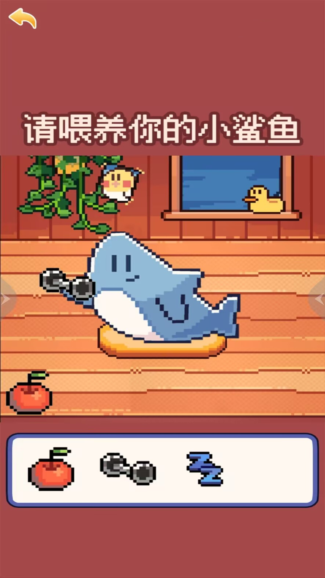 奇怪的动物 奇怪的动物