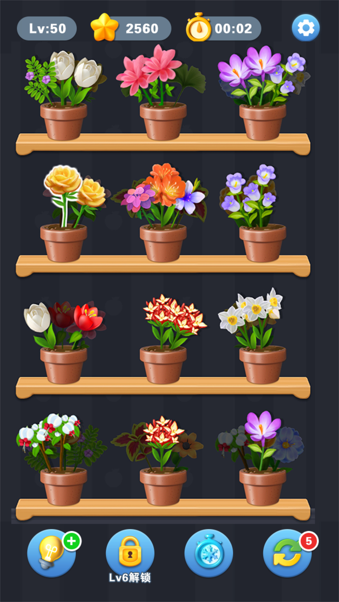 花朵拼拼 花朵拼拼