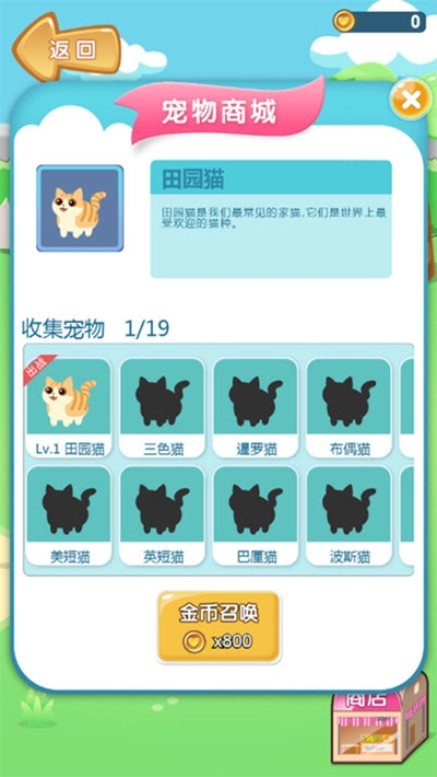 开心猫猫乐