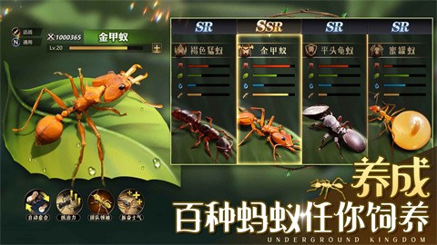 小小蚁国蚁巢满级最新版
