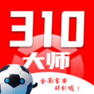 310大师