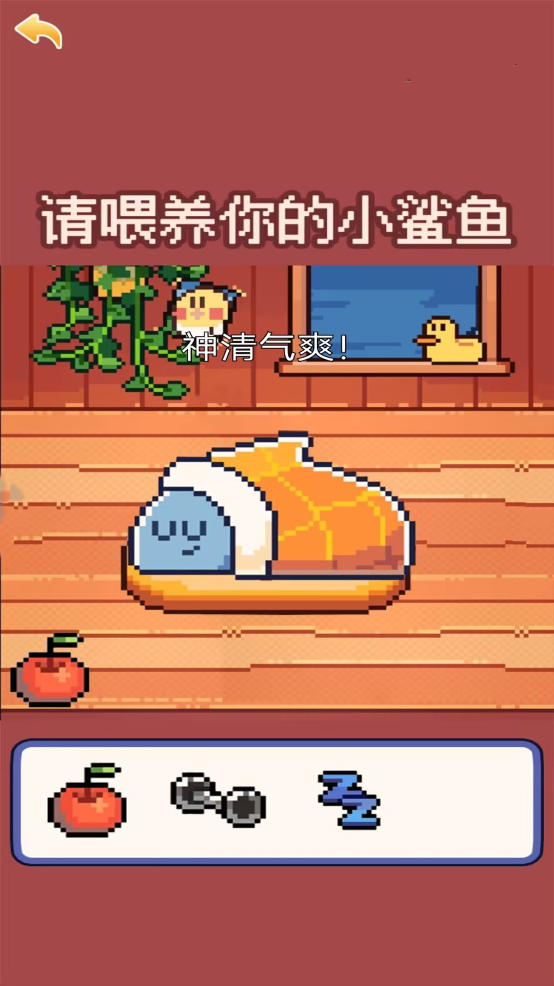 奇怪的动物 奇怪的动物