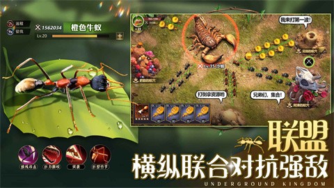 小小蚁国蚁巢满级最新版
