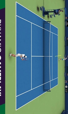 网球公开赛2021:终极3D 网球公开赛2021:终极3D