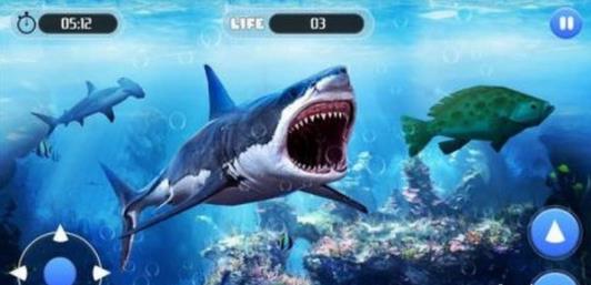白鲨攻击任务White Shark Attack Mission 3D