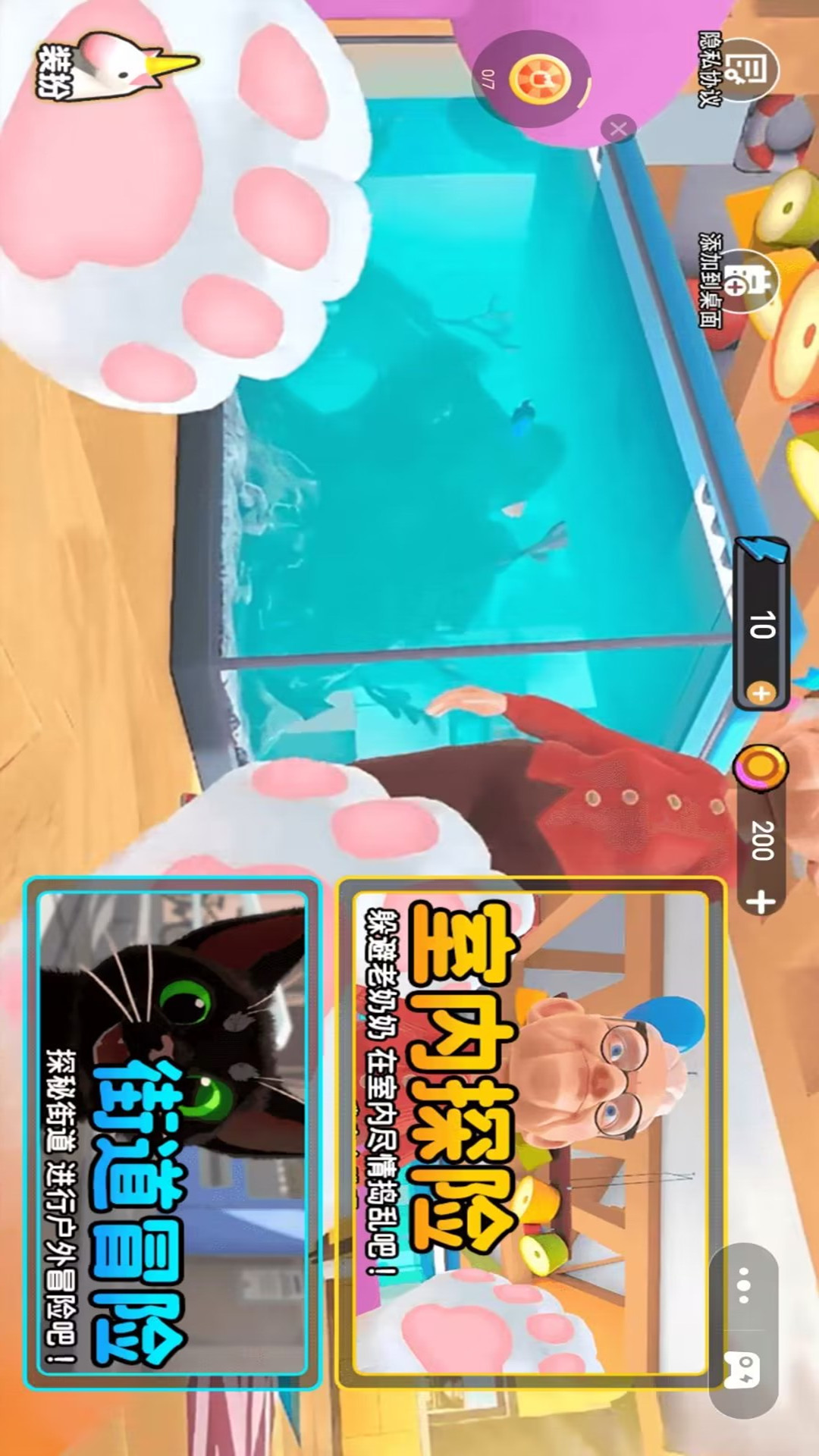 可爱猫咪桌面 可爱猫咪桌面