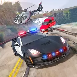 警察驾驶警车模拟