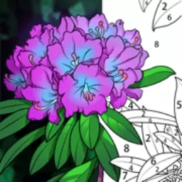 画画小达人