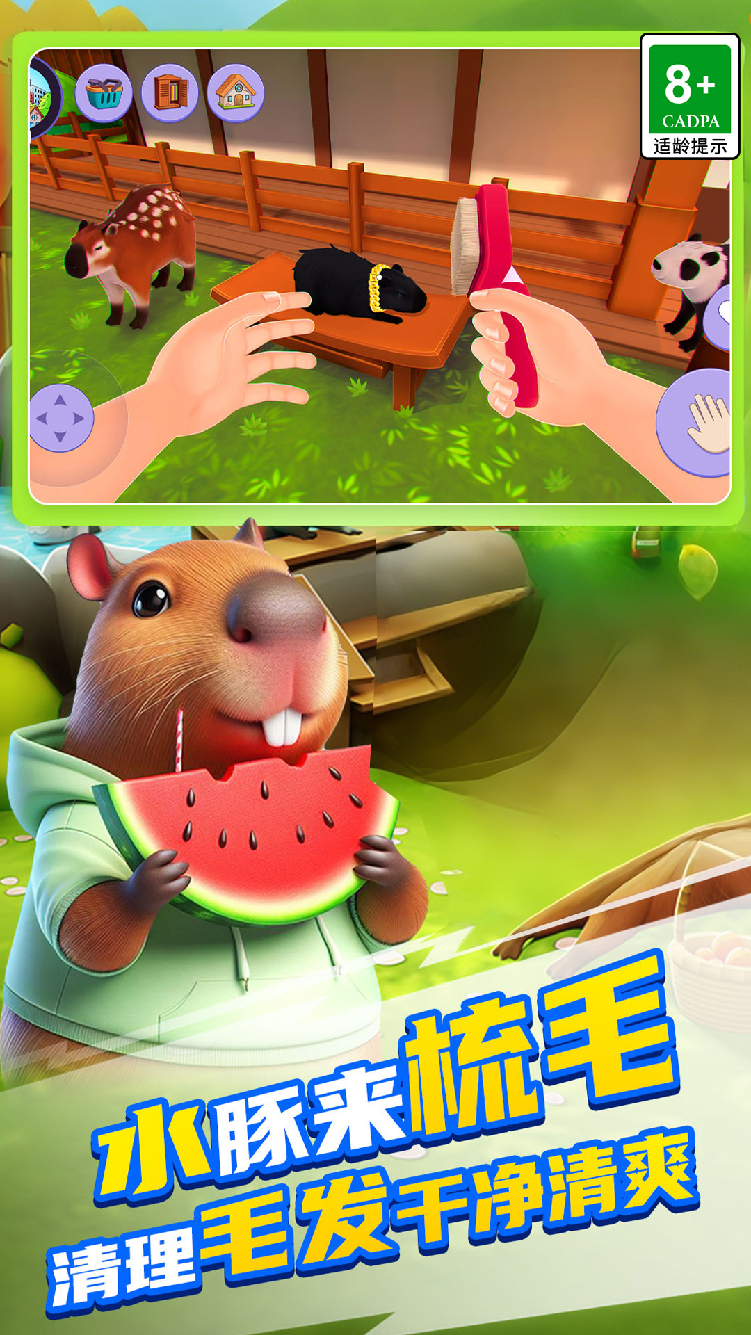 卡皮巴拉家园