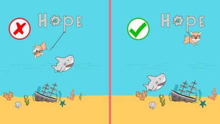 拯救狗狗们Save The Dogs 拯救狗狗们Save The Dogs