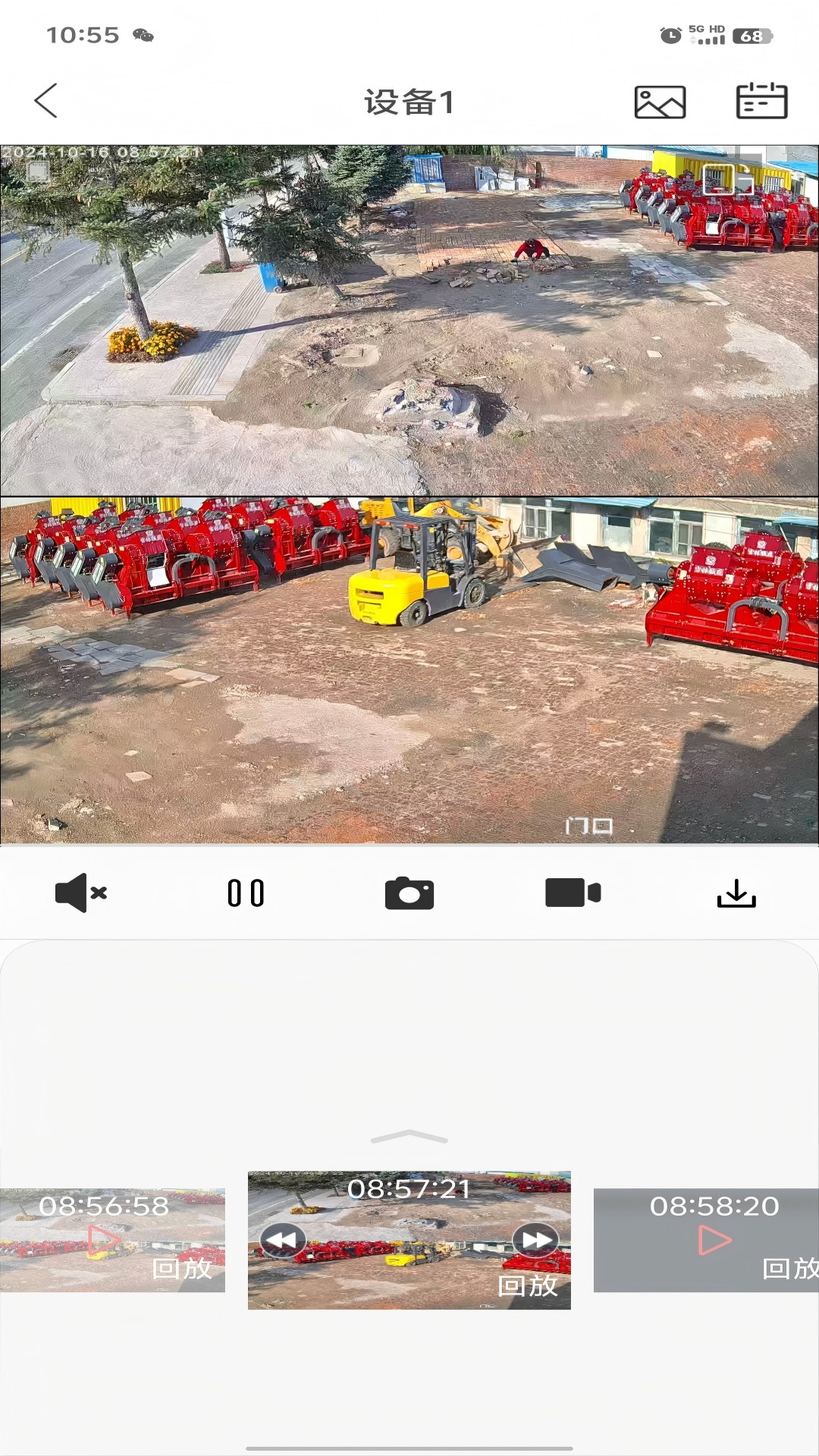 小福看家 小福看家