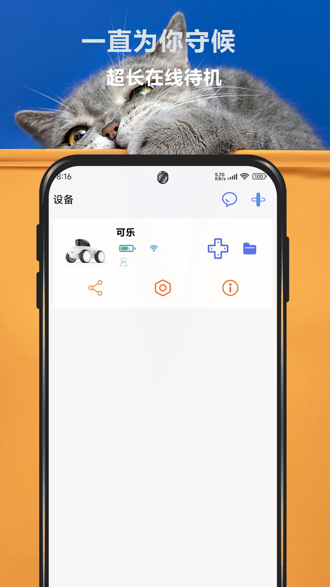宠爱视界