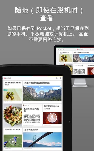 Pocket app下载