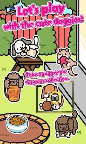doggies小狗收藏家
