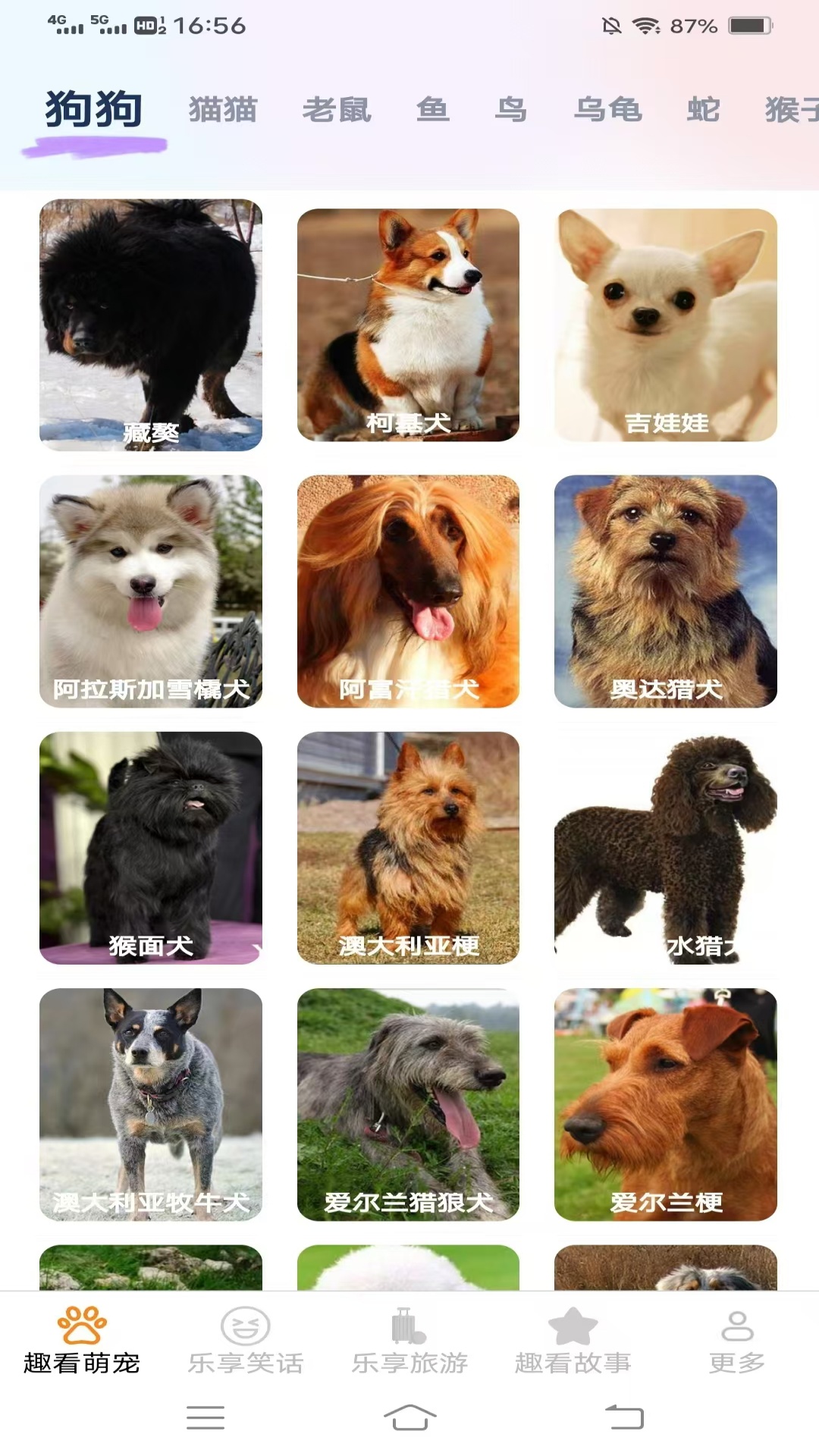 乐享趣看