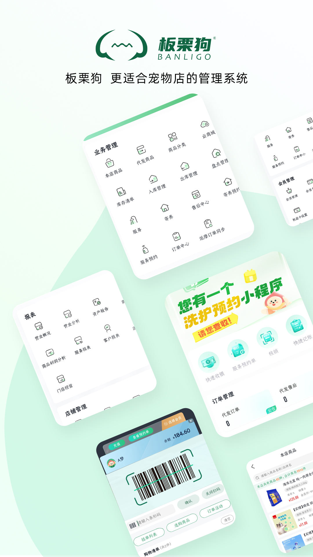 板栗狗 板栗狗