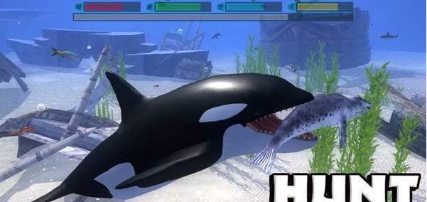 Dolphin Family(终极海豚模拟器) Dolphin Family(终极海豚模拟器)