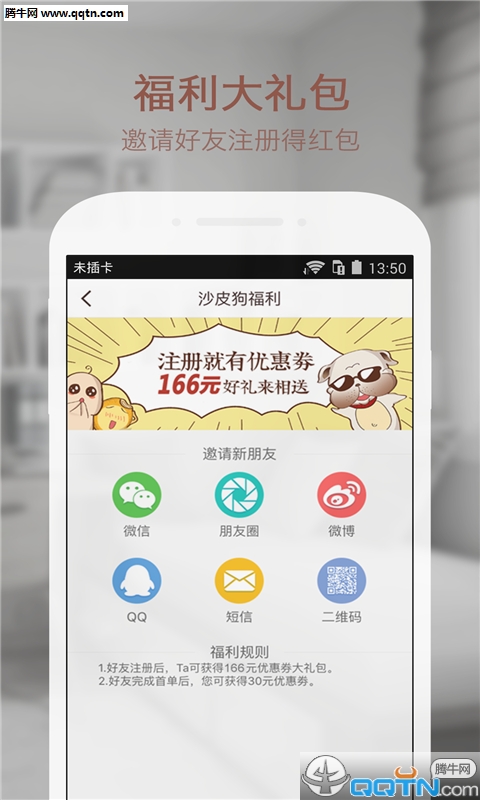 沙皮狗 沙皮狗